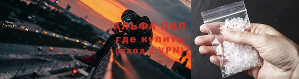сатива Липки