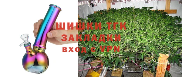 сатива Липки